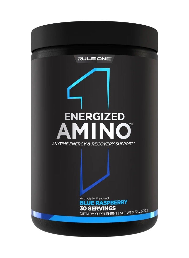 Energized Amino & Recovery Support 30 servings