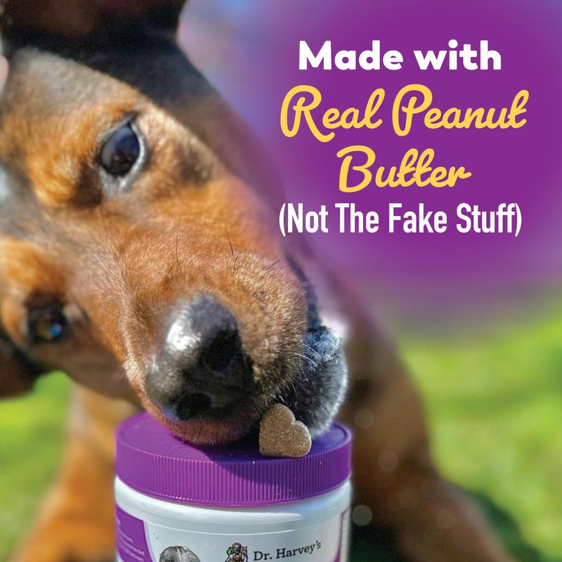 Dr. Harvey's Digestive Probiotic Soft Chews for Dogs, 9 Probiotics for Gut Health, Diarrhea and Bowel Support, Peanut Butter Flavor (90 Chews) - Image 5