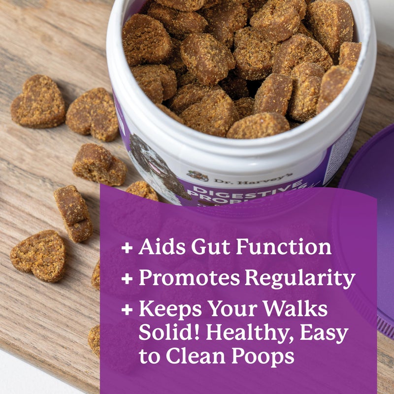 Dr. Harvey's Digestive Probiotic Soft Chews for Dogs, 9 Probiotics for Gut Health, Diarrhea and Bowel Support, Peanut Butter Flavor (90 Chews) - Image 3