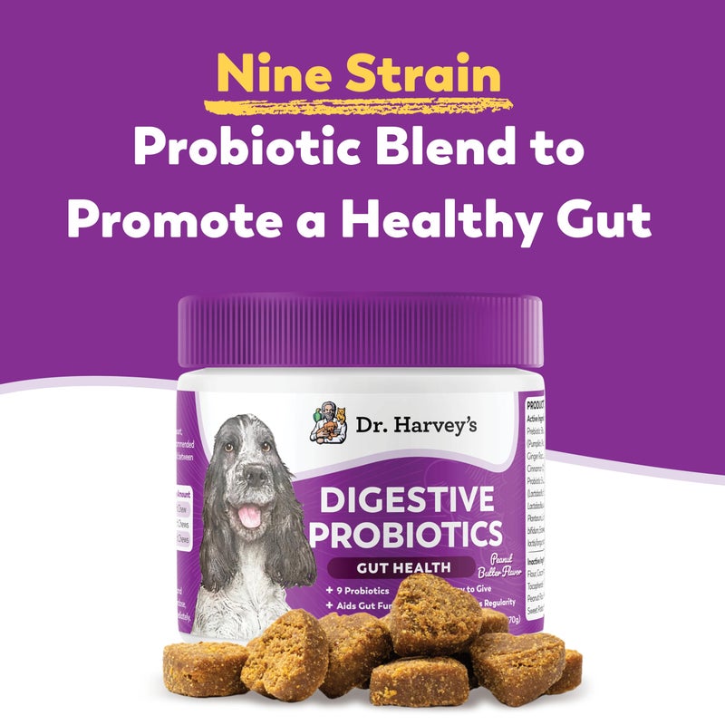 Dr. Harvey's Digestive Probiotic Soft Chews for Dogs, 9 Probiotics for Gut Health, Diarrhea and Bowel Support, Peanut Butter Flavor (90 Chews) - Image 2