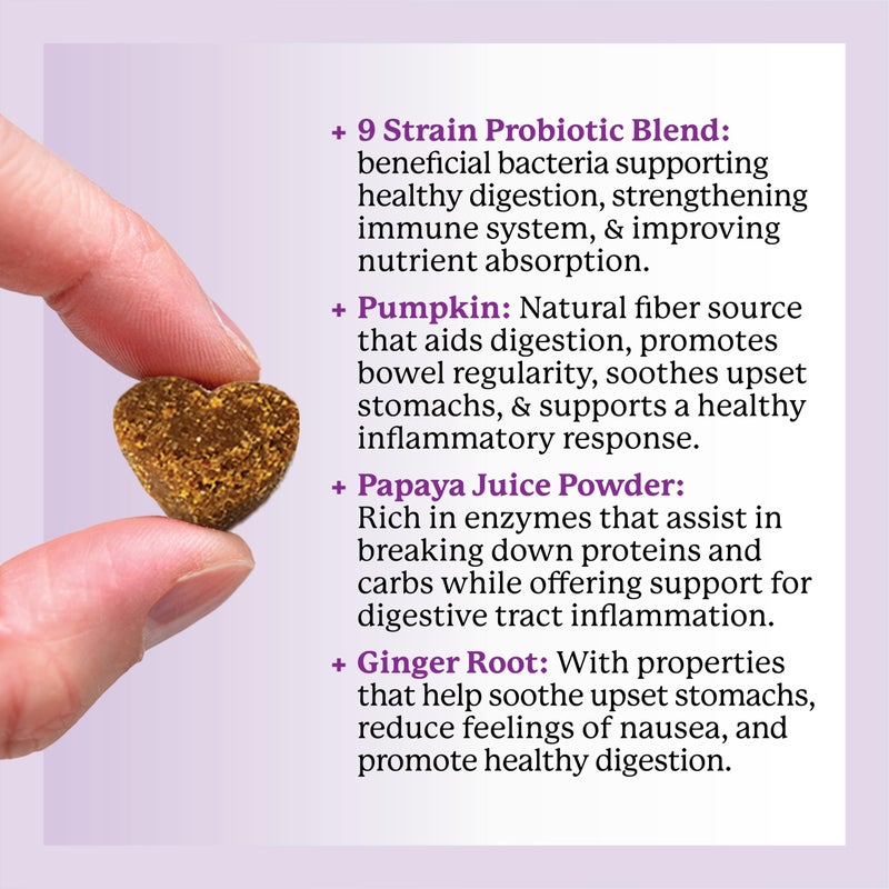 Dr. Harvey's Digestive Probiotic Soft Chews for Dogs, 9 Probiotics for Gut Health, Diarrhea and Bowel Support, Peanut Butter Flavor (90 Chews) - Image 4