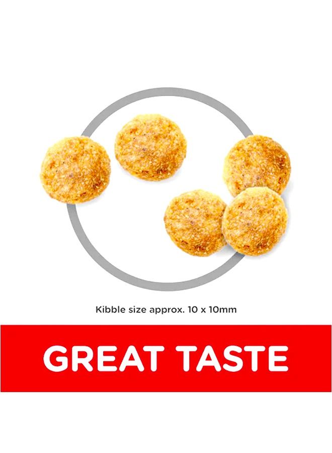 Hill's خطة العلوم للبالغين 1-6 دجاج للقطط -10 كجم - Image 3