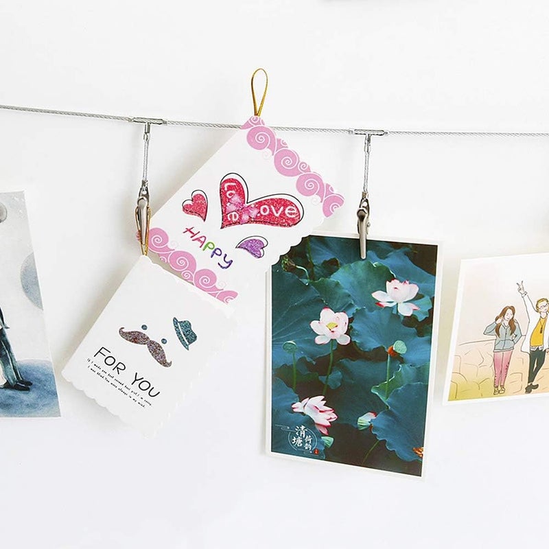 TFu Multi-Purpose Steel Wall Hanging Photo Display Cable Wire Rod String with 12 Clips for Hanging Photos Notes and Artworks (Alligator Clip) - Image 3