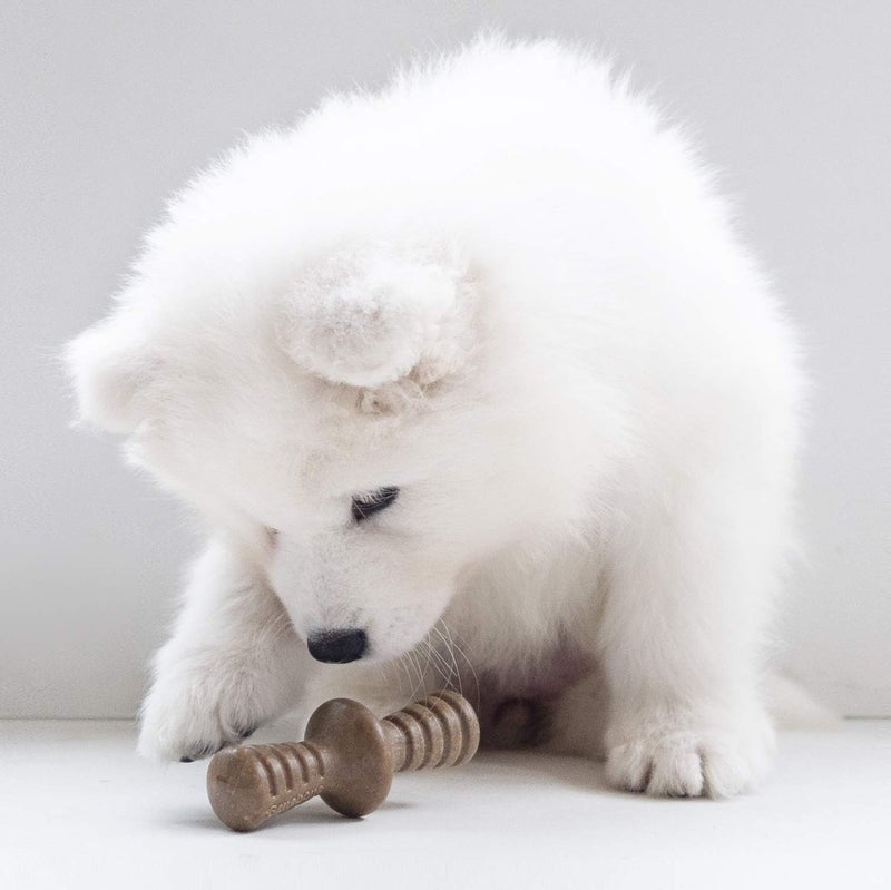 Benebone Puppy 2-Pack Maplestick/Zaggler Durable Dog Chew Toys for Gentle Chewers, Real Bacon, Real Maplewood, Made in USA, Tiny - Image 2