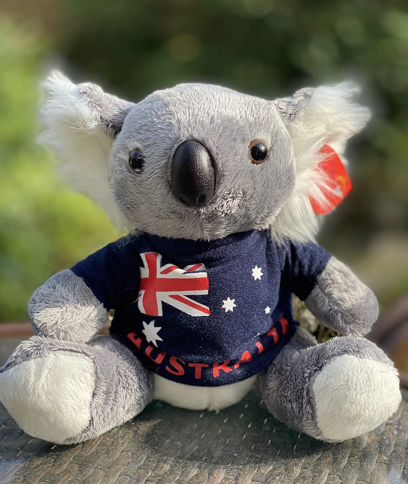 Aeisage Koala Stuffed Animal 8 Inch Plush Koala Bear with TShirt Super Soft Australian Souvenir Gift - Image 3
