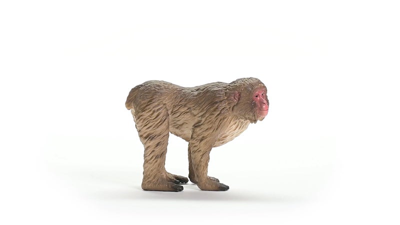 Schleich Wild Life Wild Animal Toy Japanese Macaque Figurine Kids and Toddlers Ages 3 - Image 4