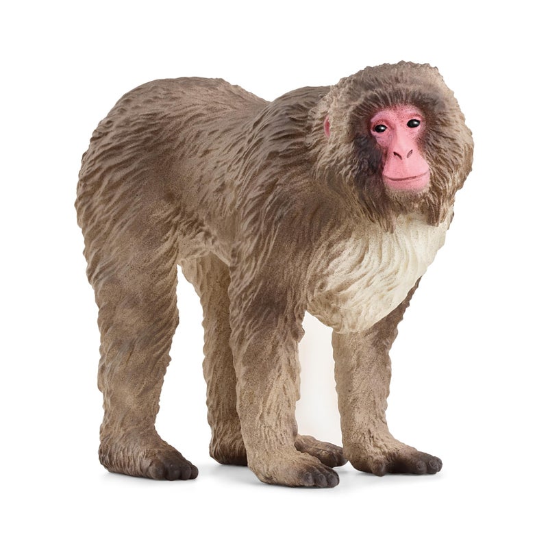Schleich Wild Life Wild Animal Toy Japanese Macaque Figurine Kids and Toddlers Ages 3 - Image 2