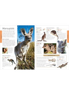 DK Animals: A Children's Encyclopedia  - Image 1