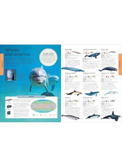 DK Animals: A Children's Encyclopedia  - Image 5