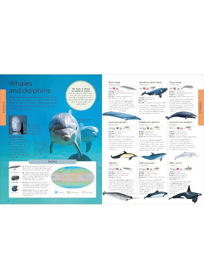 DK Animals: A Children's Encyclopedia  - Image 5