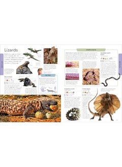 DK Animals: A Children's Encyclopedia  - Image 3