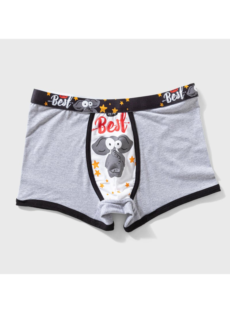 COTTONIL Pack of 6 Cotton Party Boxer Underwear for Men  - Image 5