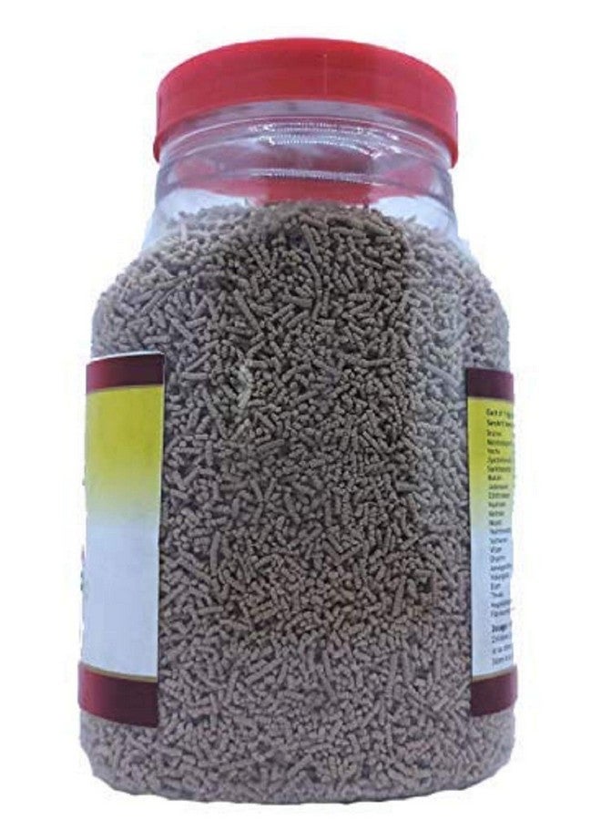 NAGARJUNA Brahmi Plus Smrithi Granules Herbal Brain Nourisher, Red, Large, 1 Kg - Image 3