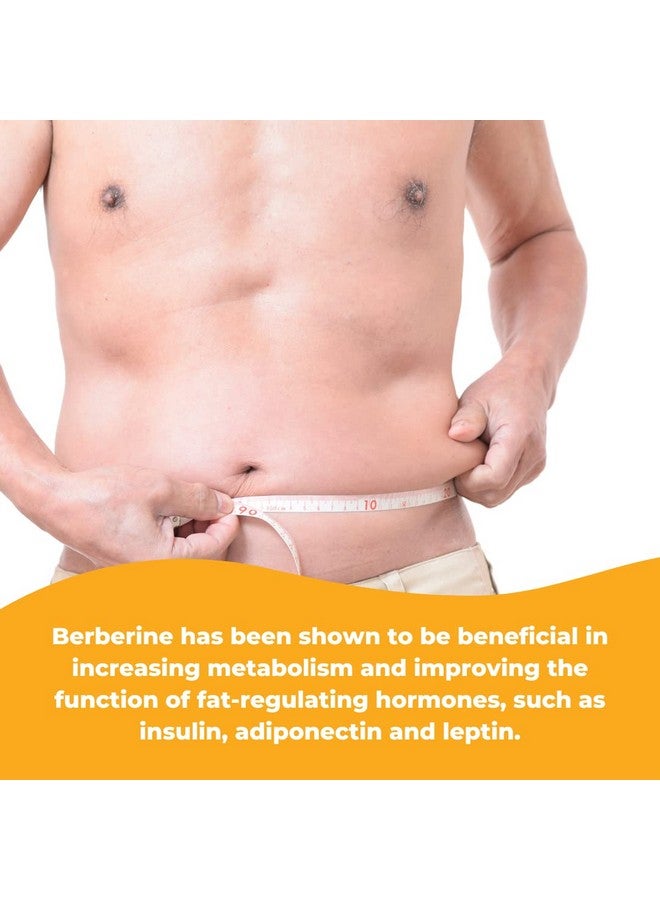 Wonder Laboratories Surperior Absorption Berberine HCL 1,500mg + Cinnamon, Chromium, and BioPerine Maintenance for Glucose, Heart & Immune System Health Gluten & GMO Free - 120 Capsules - Image 5