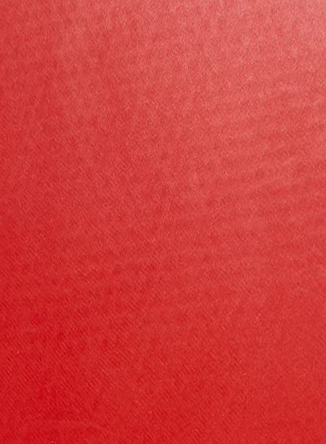 دي إتش أس مضرب تنس الطاولة S-S03P DHS مع كرة تنس الطاولة DHS 40MM 3 نجوم برتقالية (علبة من 48 قطعة) - Image 5