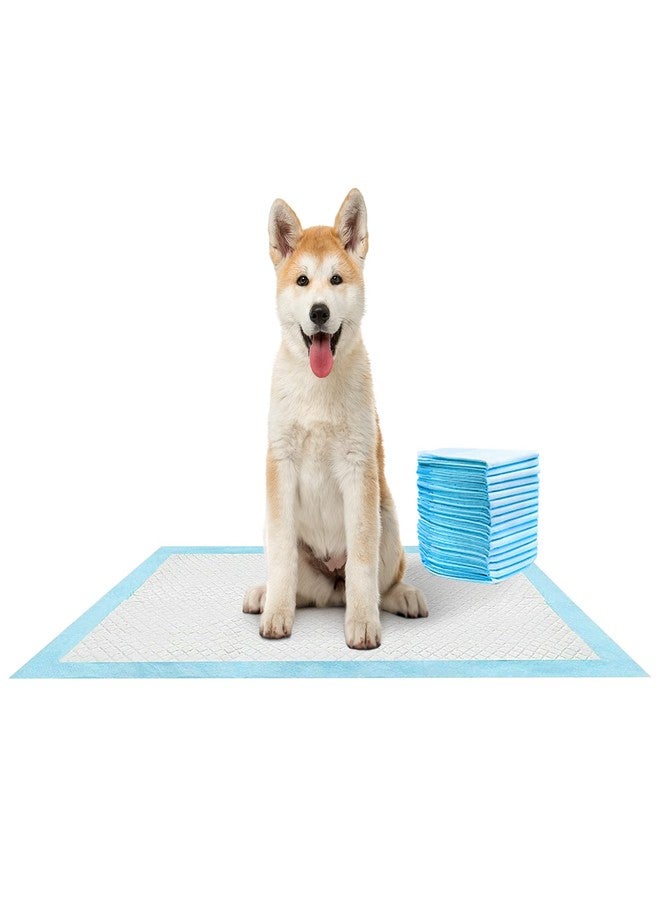 SAVEX Heavy Duty Dog Pet Puppy Training Pads - Super Absorbent & Odour Locking Multi-Layered Floor Toilet Mats Anti Slip Leakproof (Pack of 30) - Image 1