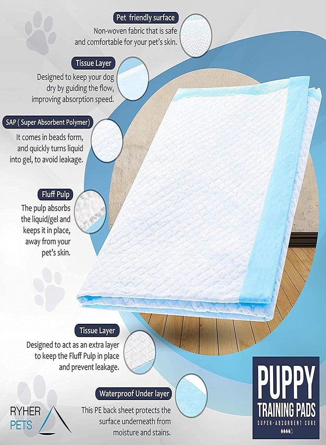 SAVEX Heavy Duty Dog Pet Puppy Training Pads - Super Absorbent & Odour Locking Multi-Layered Floor Toilet Mats Anti Slip Leakproof (Pack of 30) - Image 2
