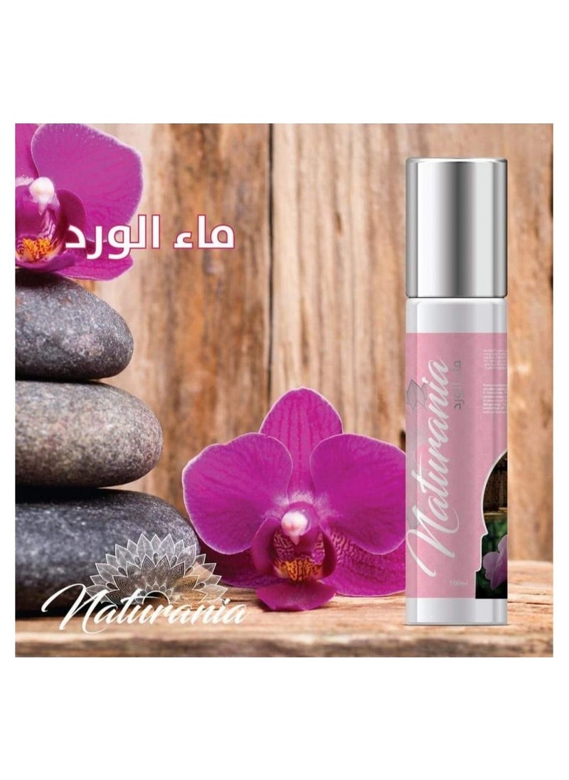 Naturania Rose Water 100ml - pzsku/Z616297011F4EA6FF0F01Z/45/_/1665352867/6f1cb496-1e10-4638-aab0-317dcbf18fb4