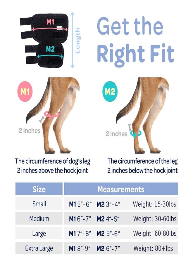 Labra Dog Rear Leg Hock Joint Compression Wrap - Supportive Brace for Weak Back Legs, ACL Tear, and Joint Discomfort - Adjustable Hind Leg Support for Senior Dogs - Large - Image 2