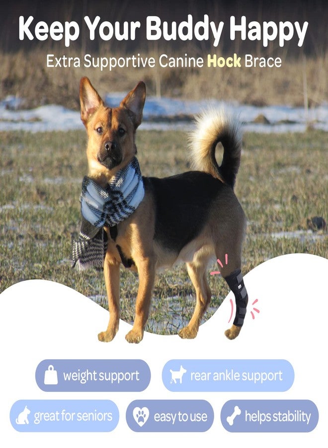 Labra Dog Rear Leg Hock Joint Compression Wrap - Supportive Brace for Weak Back Legs, ACL Tear, and Joint Discomfort - Adjustable Hind Leg Support for Senior Dogs - Large - Image 4