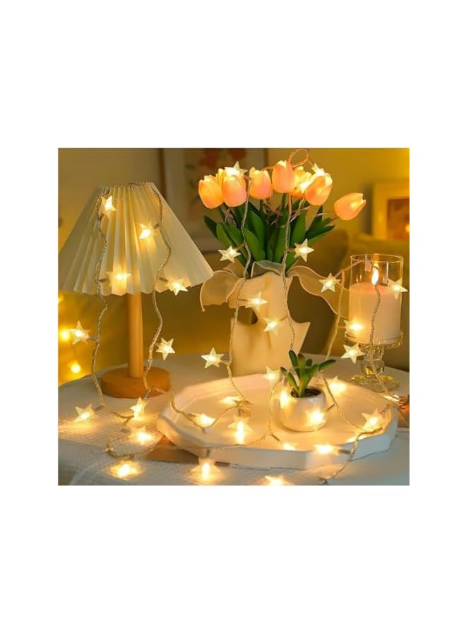 The Bros 2set 40 LED Star String Lights 20FT (6 Meters) Fairy Christmas Lights USB Operated for Indoor & Outdoor, Party, Wedding and Holiday Decorations Warm White - Image 2