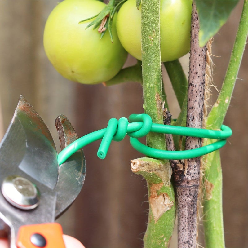 Green Soft Twist Tie 2 Pack Reusable Garden Plant Support Vines for Tomato Branches and Stems - Image 5