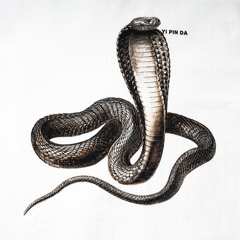Kang Li Direct Spray Fashion Brand Men'S All-Match Short Sleeve Fashion Ins Spray Print Cobra Venomous Snake Couple Personality Vest T-Shirt - Image 4