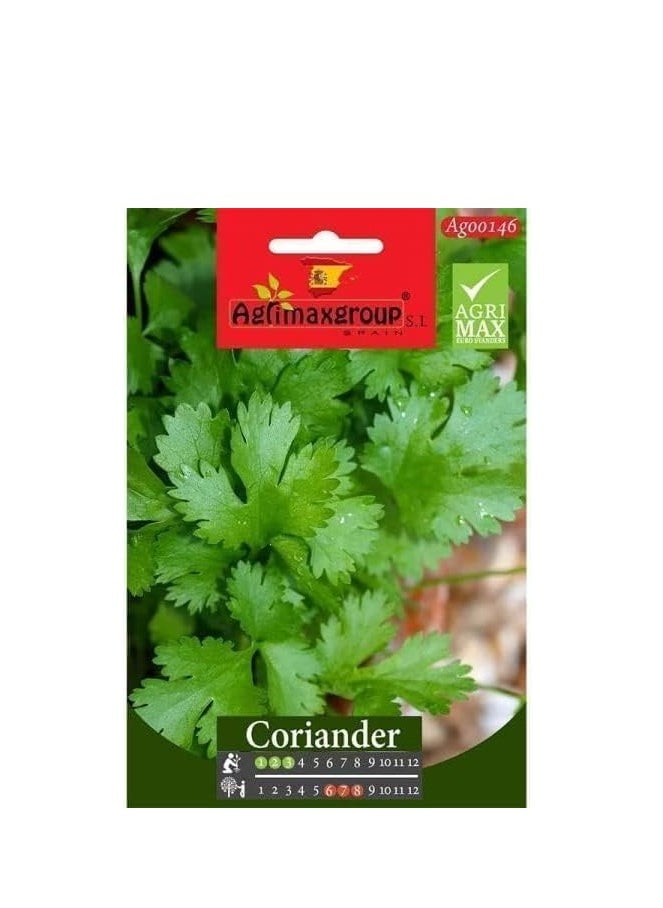 Agrimax Coriander Premium Quality Seeds by Agrimaxgroup®  - Image 2