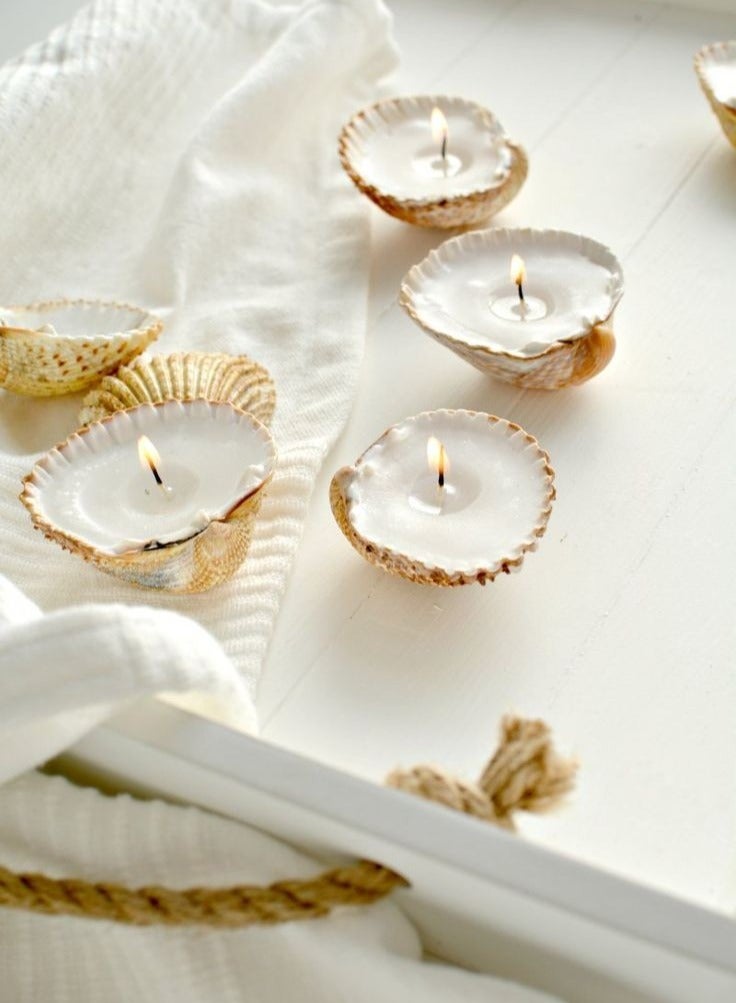 Set of 5 pieces of scented candles in real seashells - Image 1