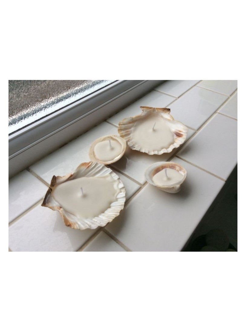 Set of 5 pieces of scented candles in real seashells - Image 3