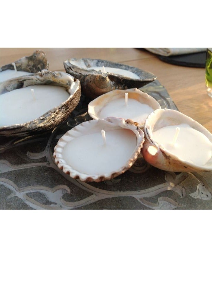 Set of 5 pieces of scented candles in real seashells - Image 4