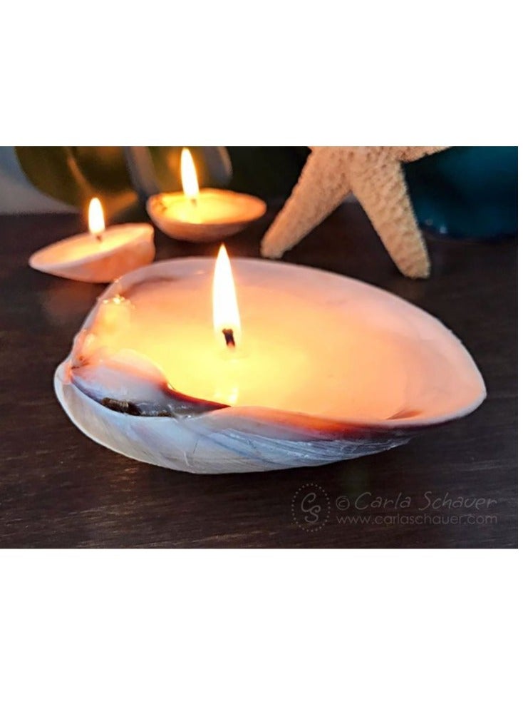 Set of 5 pieces of scented candles in real seashells - Image 2