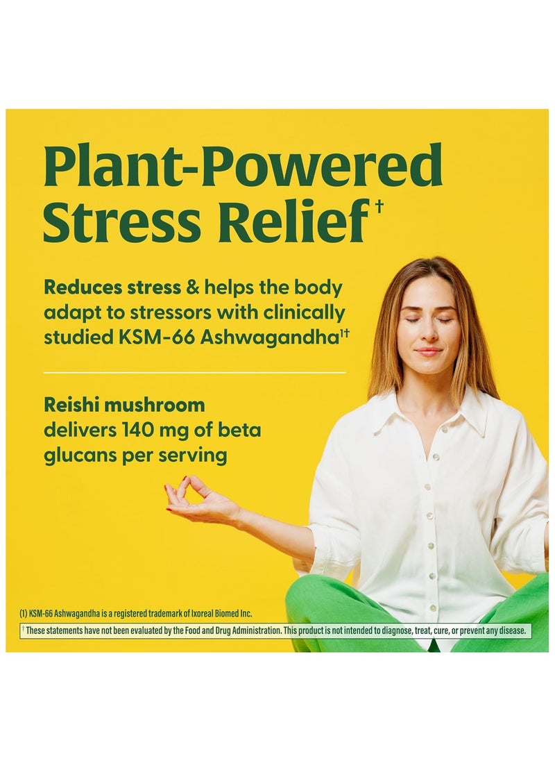 MegaFood - MegaFood Superfood Mushroom Stress Relief -Clinically shown to reduce stress - Fruiting body reishi mushroom KSM-66 Ashwagandha - Dietary Supplement 60/capsules/30 serving - Image 1