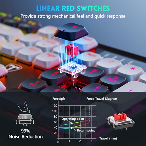 RisoPhy Wireless Mechanical Keyboard Gaming, Low Profile Bluetooth/ 2.4G/ USB-C/Keyboard with Smooth Red Switches, RGB Light up Backlight Rechargeable Clicky Keyboard for Computer PC Mac Gamer - Image 4