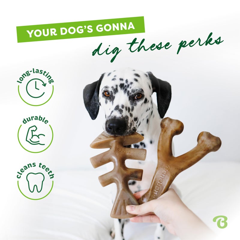 Benebone 2-pack Fishbone/Wishbone Durable Dog Chew Toys, Real Fish, Real Bacon, Made in USA, Small - Image 3