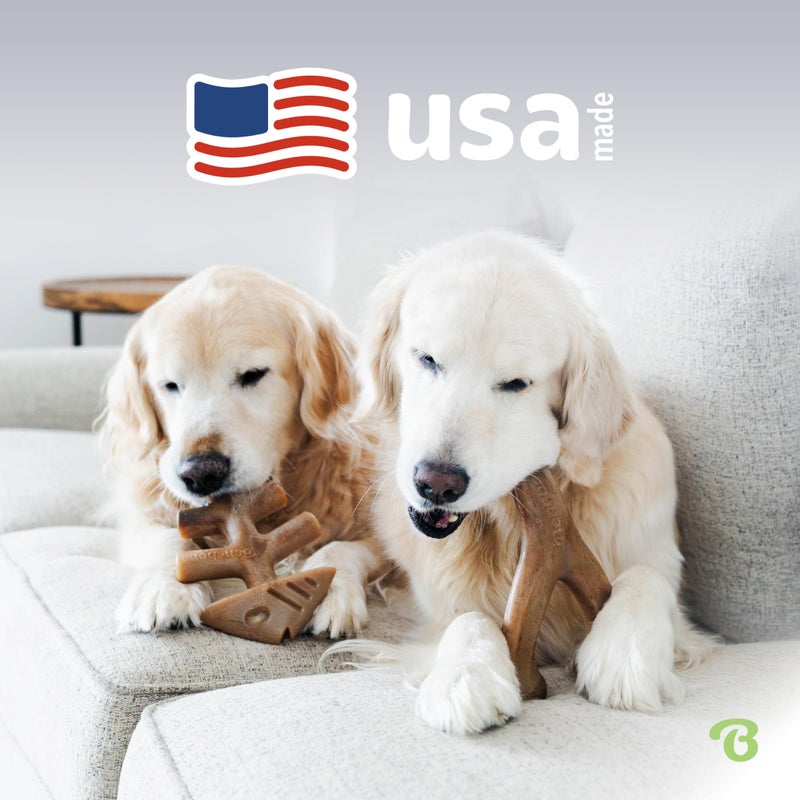 Benebone 2-pack Fishbone/Wishbone Durable Dog Chew Toys, Real Fish, Real Bacon, Made in USA, Small - Image 5