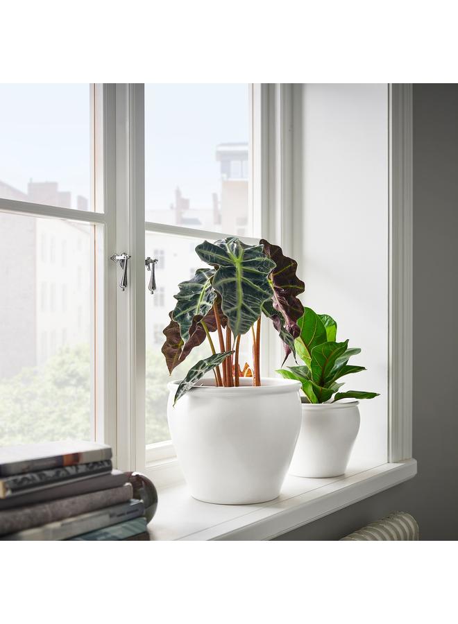 زبون وعاء نباتات، داخلي/خارجي/أبيض، 19 سم - Image 2