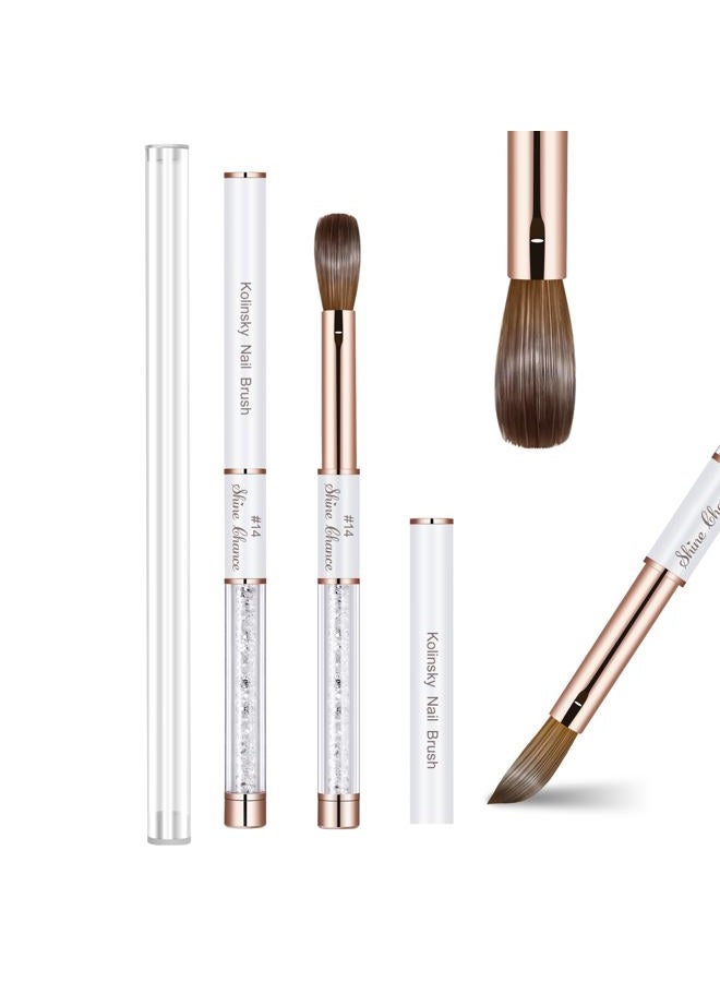 Shine Chance Acrylic Nail Brush Size 14, 100% Real Kolinsky Art Nail Brush for Acrylic Powder Application, Handmade Women Manicure Nail Extension Tool for Professional DIY Home Salon and Beginners - Image 1