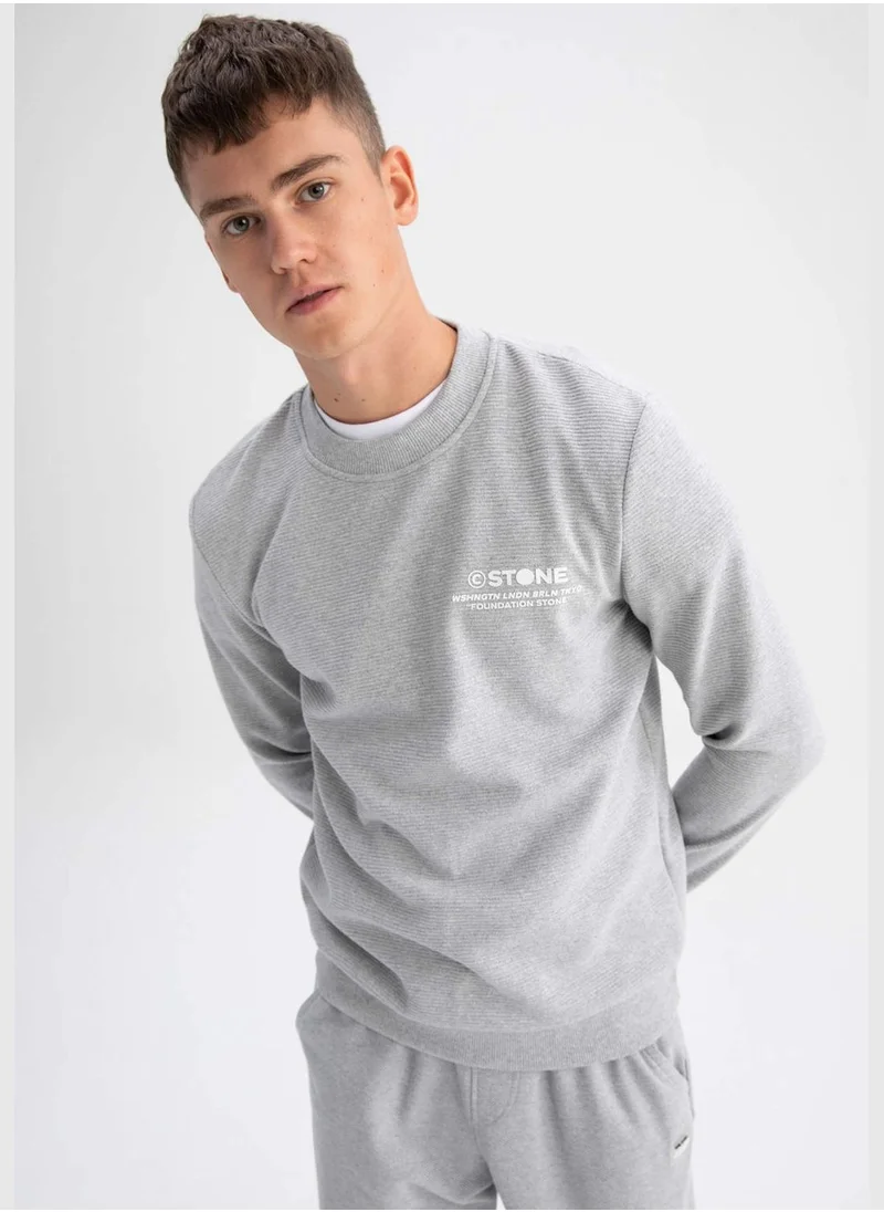 ديفاكتو Man Slim Fit Crew Neck Long Sleeve Knitted Sweatshirt