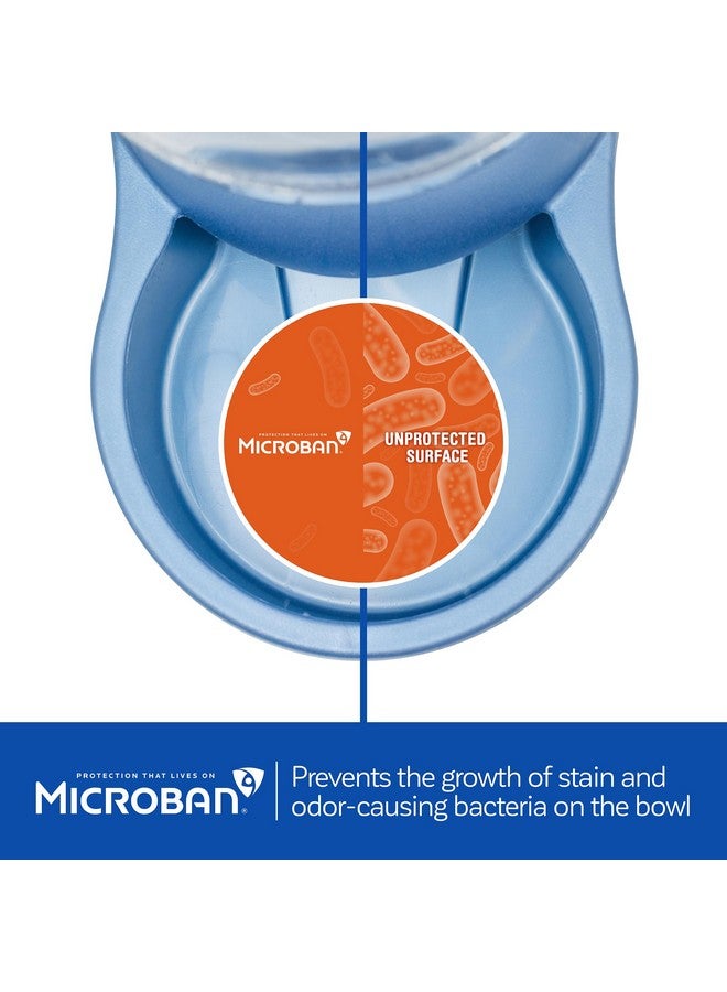 Petmate Replendish Feeder Automatic Cat And Dog Feeder, Pearl Peacock Blue, 10 Lb, Made In Usa - Image 3