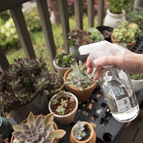 Youngever 4 Pack Empty Glass Spray Bottle, 16 Ounce Clear Glass Spray Bottle for Essential Oils with Extra Durable Trigger Sprayers - Image 5