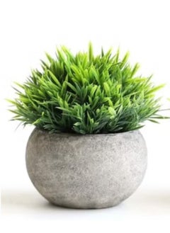 Generic Mini Artificial Plant Small Fake Plant for Office Kitchen Bathroom Bedroom Mantle Shelf Living Room Faux Plant in Pots Modern Farmhouse Plant  Home Decor 