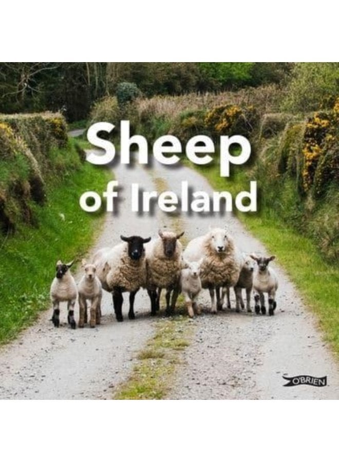 Sheep of Ireland - Hardback