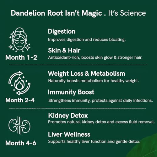 TEACURRY Dandelion Root Tea (1 Month Pack, 30 Tea Bags) - Helps to detox body and liver - Image 4