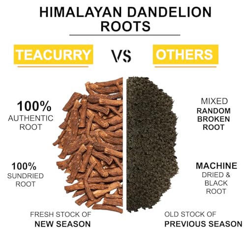 TEACURRY Dandelion Root Tea (1 Month Pack, 30 Tea Bags) - Helps to detox body and liver - Image 2
