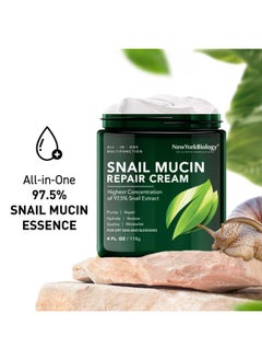 NEW YORK BIOLOGY THE ULTIMATE COSMECEUTICALS New York Biology 97.5% Korean Snail Mucin Moisturizer Face Cream 4 Fl Oz 100 G Face Moisturizer For Dry Skin Skin Care Moisturizing And Hydrating Facial Moisturizer  - Image 4