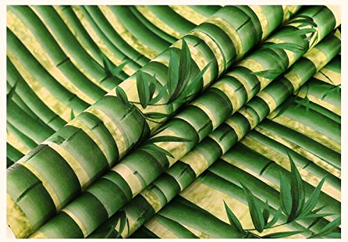 Eurotex Textured Vinyl PVC Coated 3D Green Bamboo Wallpaper for Walls Home Decoration (57sqft/Per roll)-0901 - Image 1
