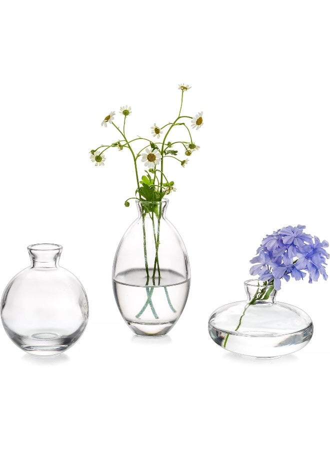 Glasseam Glasseam Clear Glass Bud Vase, 3Pcs/Set Modern Decorative Small Mini Flowers Vases Short Minimalist Aesthetic Home Decor Vintage Cute Handmade Tiny Wedding Table Centerpieces for Single Flower Rose - Image 1