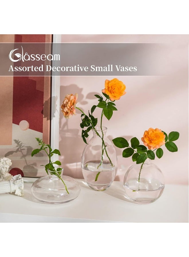 Glasseam Glasseam Clear Glass Bud Vase, 3Pcs/Set Modern Decorative Small Mini Flowers Vases Short Minimalist Aesthetic Home Decor Vintage Cute Handmade Tiny Wedding Table Centerpieces for Single Flower Rose - Image 3