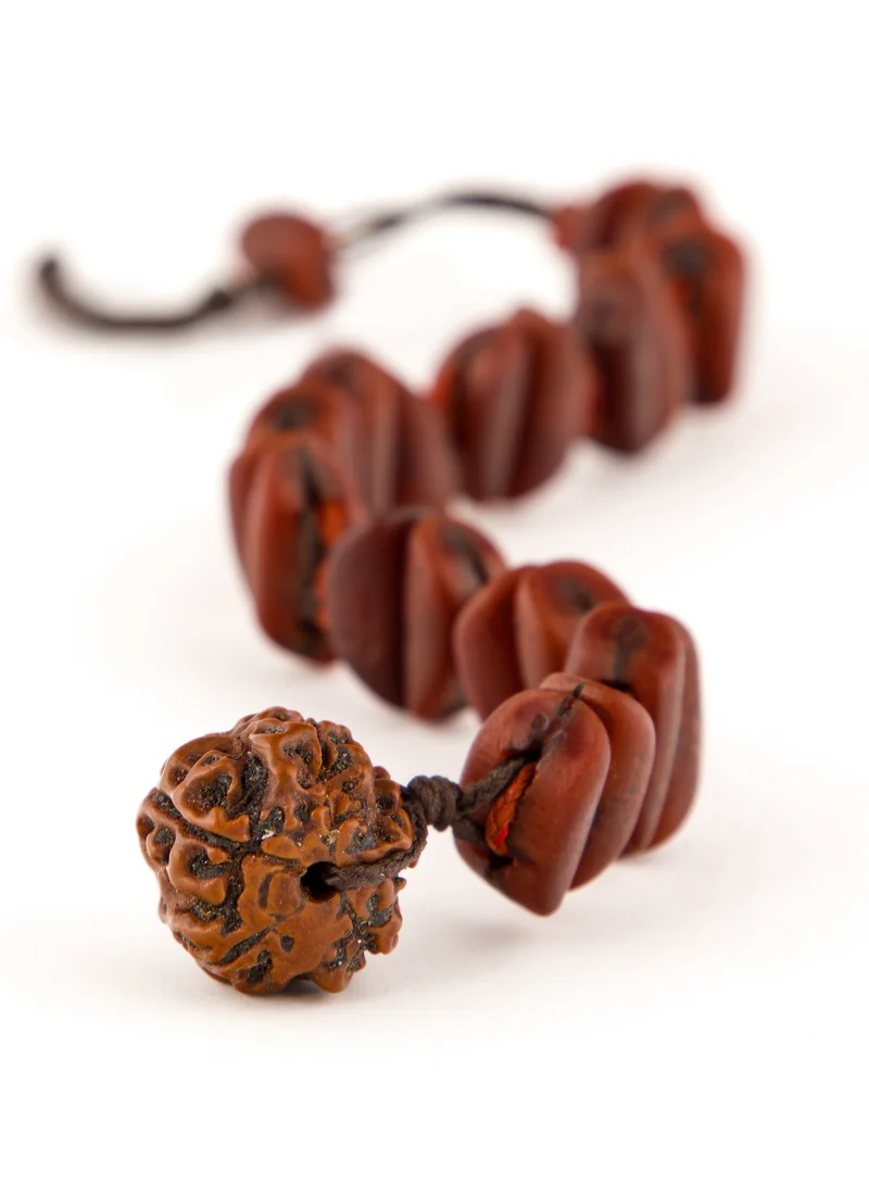 Minza  Minza ” Rudraksha ” Date and Rudraksha stones, Handmade Bracelet for Men, Beaded Bracelet, Jewelry for Casual & Special Occasion for Men | Best Price UAE